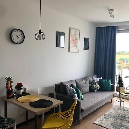 Apartament Pileckiego Nowy Dwor Mazowiecki Airport Modlin 24 H Exterior photo